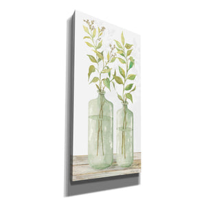 'Simple Leaves in Jar I' by Cindy Jacobs, Canvas Wall Art