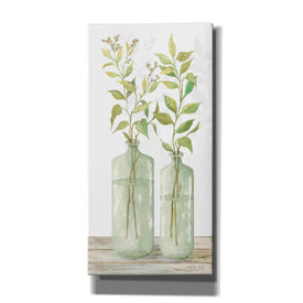 'Simple Leaves in Jar I' by Cindy Jacobs, Canvas Wall Art