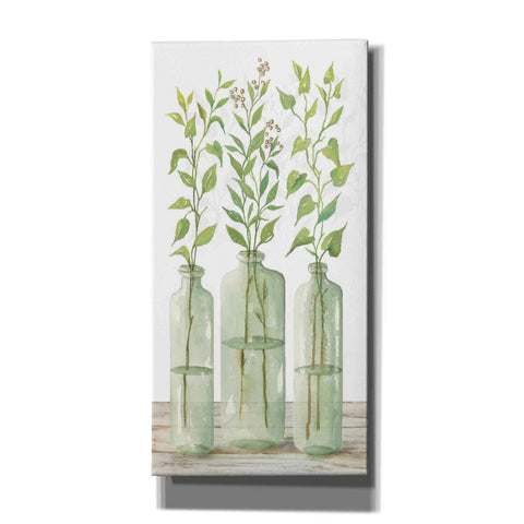 Image of 'Simple Leaves in Jar II' by Cindy Jacobs, Canvas Wall Art