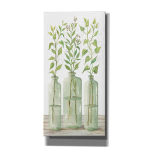 'Simple Leaves in Jar II' by Cindy Jacobs, Canvas Wall Art