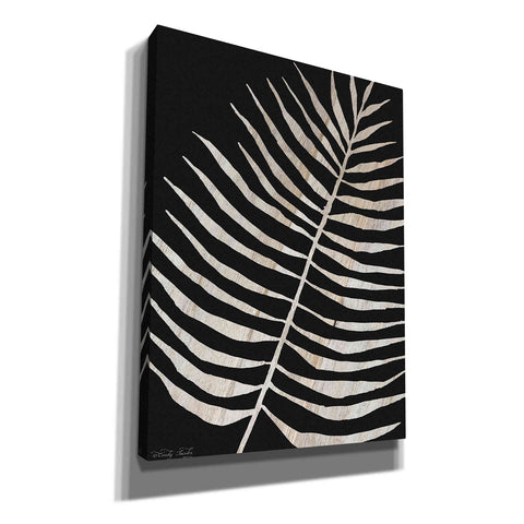 Image of 'Palm Frond Wood Grain I' by Cindy Jacobs, Canvas Wall Art