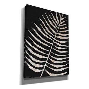 'Palm Frond Wood Grain I' by Cindy Jacobs, Canvas Wall Art