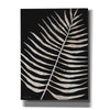 'Palm Frond Wood Grain I' by Cindy Jacobs, Canvas Wall Art