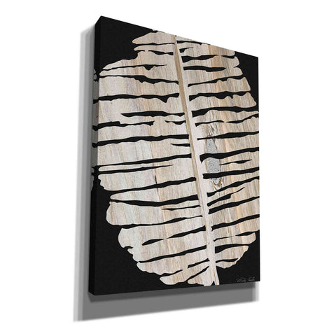 Image of 'Palm Frond Wood Grain II' by Cindy Jacobs, Canvas Wall Art