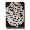 'Palm Frond Wood Grain II' by Cindy Jacobs, Canvas Wall Art