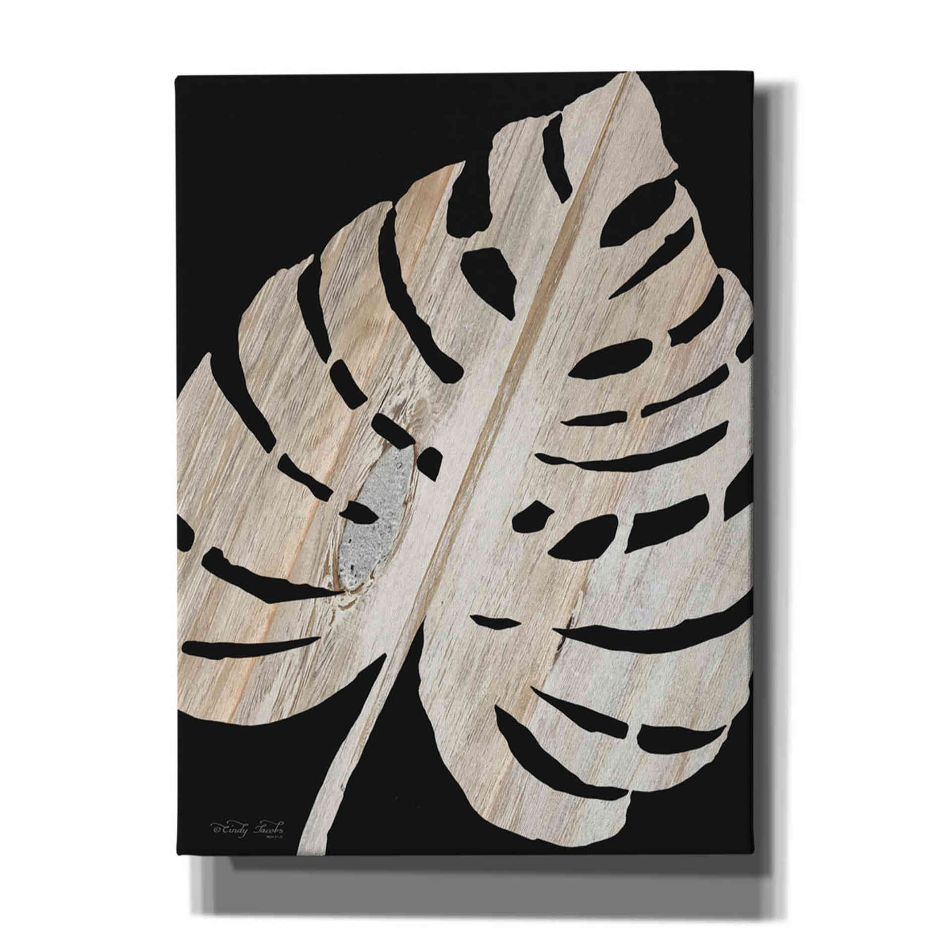 'Palm Frond Wood Grain III' by Cindy Jacobs, Canvas Wall Art