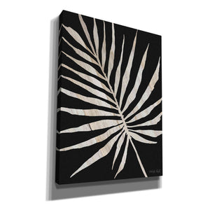 'Palm Frond Wood Grain IV' by Cindy Jacobs, Canvas Wall Art