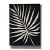 'Palm Frond Wood Grain IV' by Cindy Jacobs, Canvas Wall Art