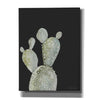 'Happy Cactus I' by Cindy Jacobs, Canvas Wall Art