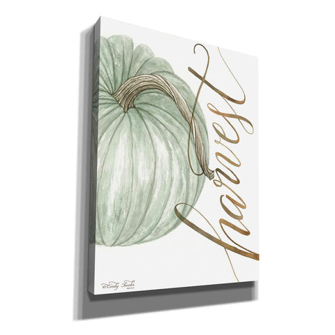 Image of 'Harvest Pumpkin' by Cindy Jacobs, Canvas Wall Art