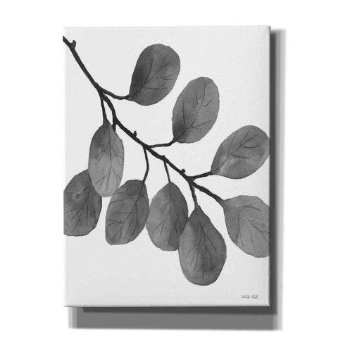 Image of 'Leaves in Gray I' by Cindy Jacobs, Canvas Wall Art