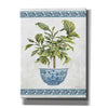 'Chinoiserie Fig I' by Cindy Jacobs, Canvas Wall Art