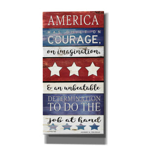'America Panel' by Cindy Jacobs, Canvas Wall Art
