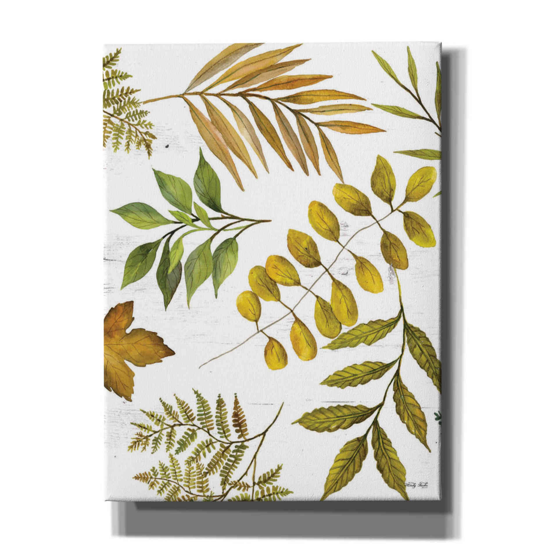 'Leaf Patterns I' by Cindy Jacobs, Canvas Wall Art