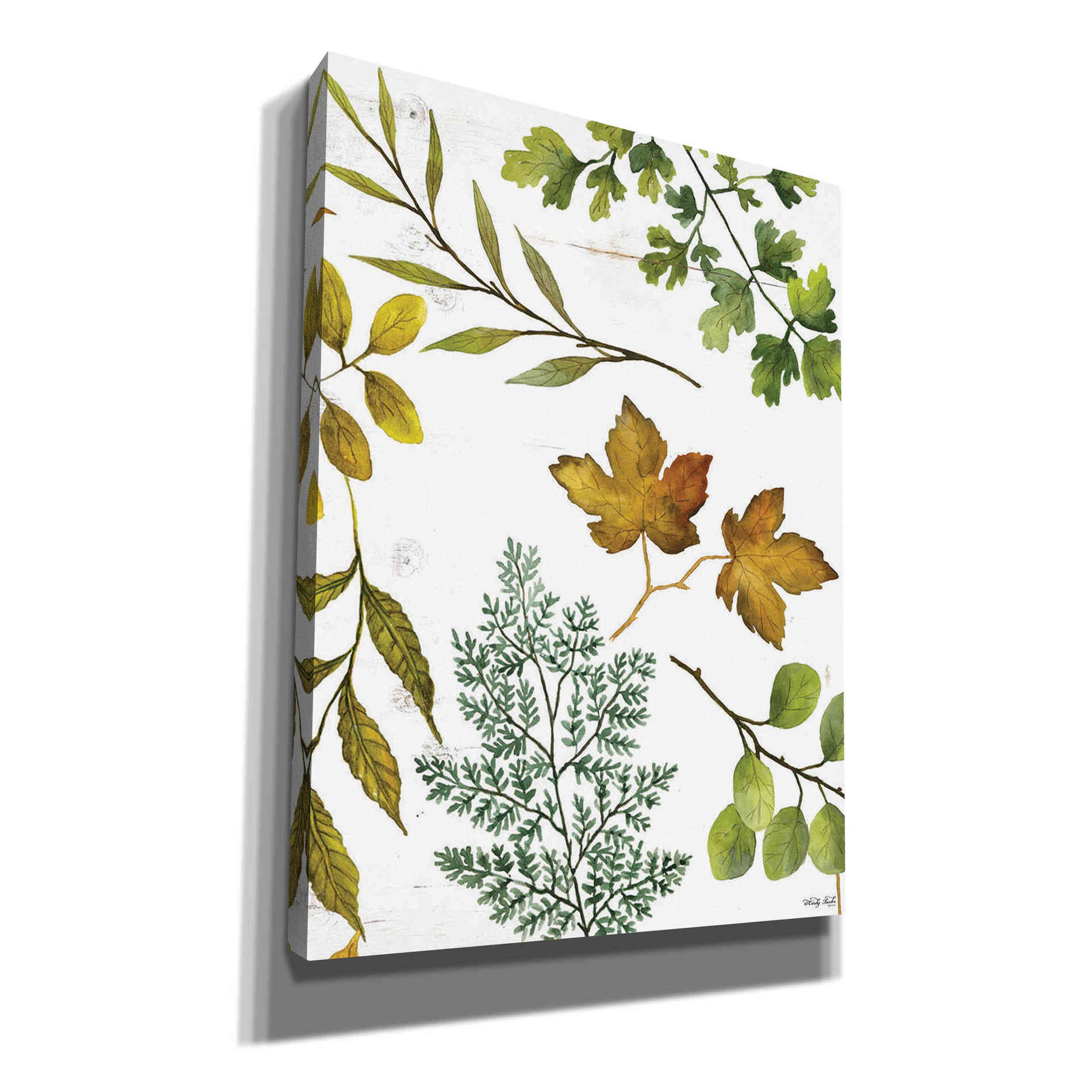 'Leaf Patterns II' by Cindy Jacobs, Canvas Wall Art