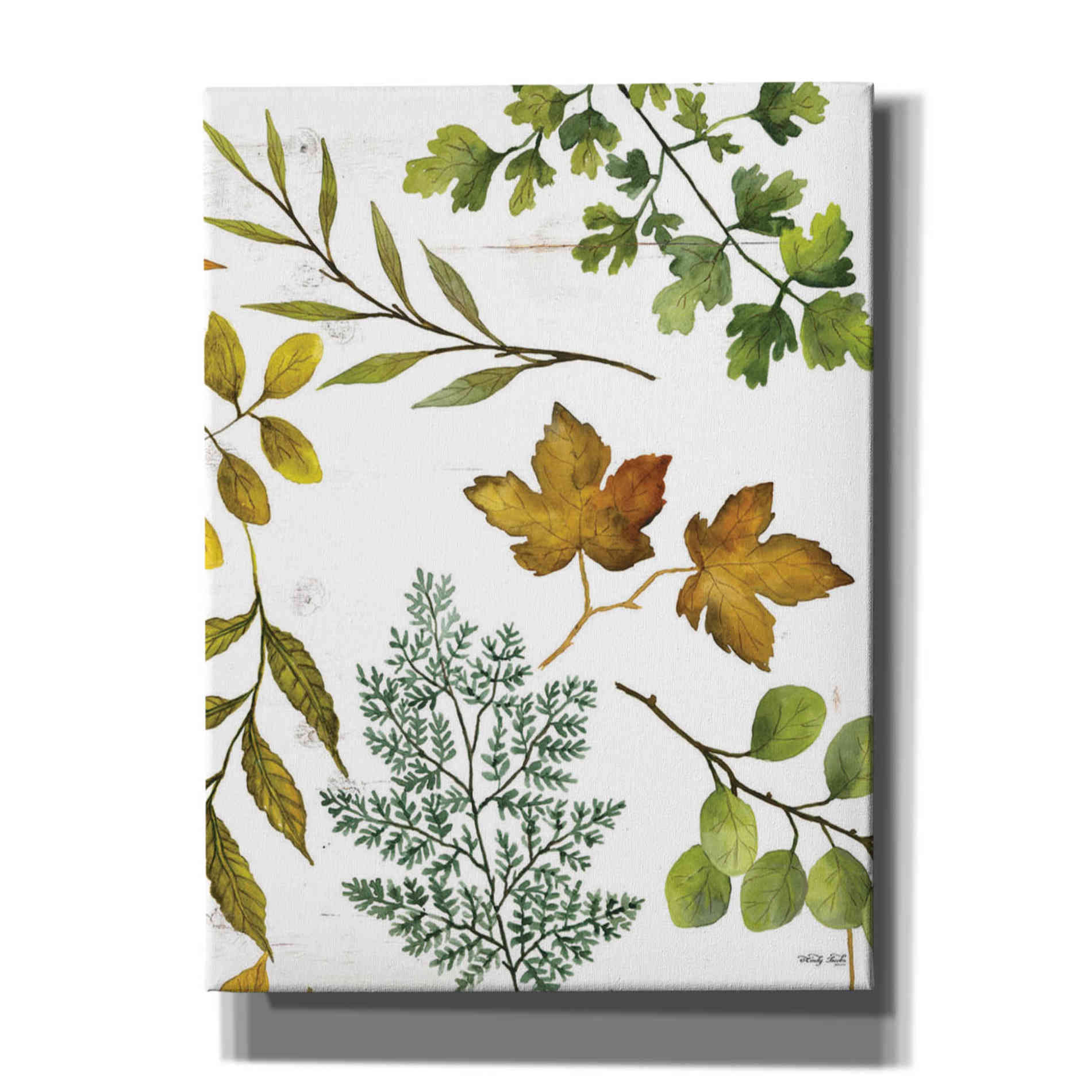 'Leaf Patterns II' by Cindy Jacobs, Canvas Wall Art