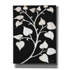 'Branch on Black I' by Cindy Jacobs, Canvas Wall Art