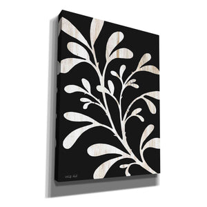 'Branch on Black II' by Cindy Jacobs, Canvas Wall Art