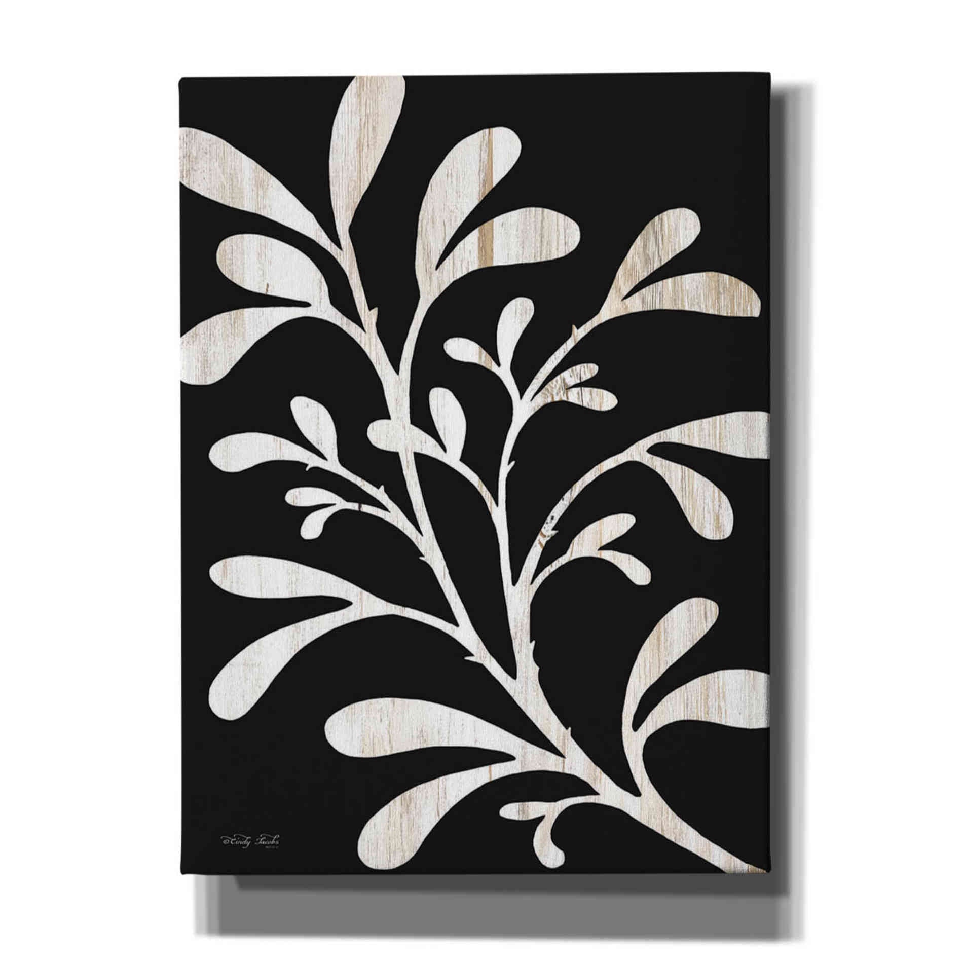 'Branch on Black II' by Cindy Jacobs, Canvas Wall Art
