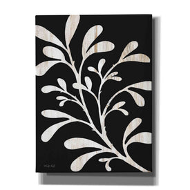 'Branch on Black II' by Cindy Jacobs, Canvas Wall Art