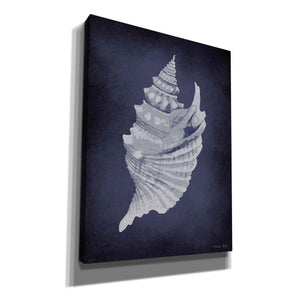 'Blue Seashell I' by Cindy Jacobs, Canvas Wall Art