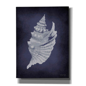 'Blue Seashell I' by Cindy Jacobs, Canvas Wall Art