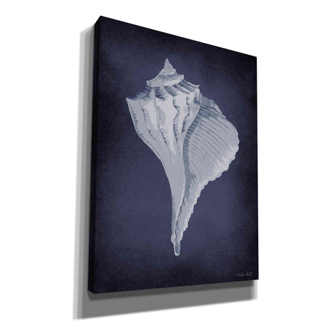 Image of 'Blue Seashell II' by Cindy Jacobs, Canvas Wall Art