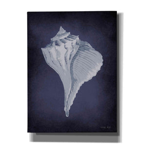 'Blue Seashell II' by Cindy Jacobs, Canvas Wall Art