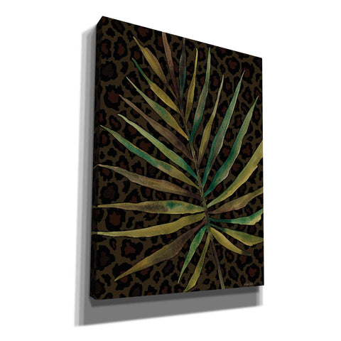 Image of 'Areca Leaf' by Cindy Jacobs, Canvas Wall Art