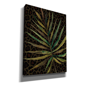 'Areca Leaf' by Cindy Jacobs, Canvas Wall Art