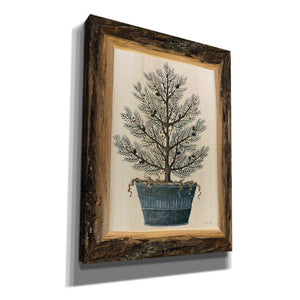 'Woodland Potted Tree I' by Cindy Jacobs, Canvas Wall Art