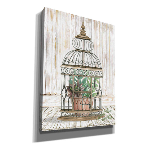 Image of 'Caged Beauty I' by Cindy Jacobs, Canvas Wall Art