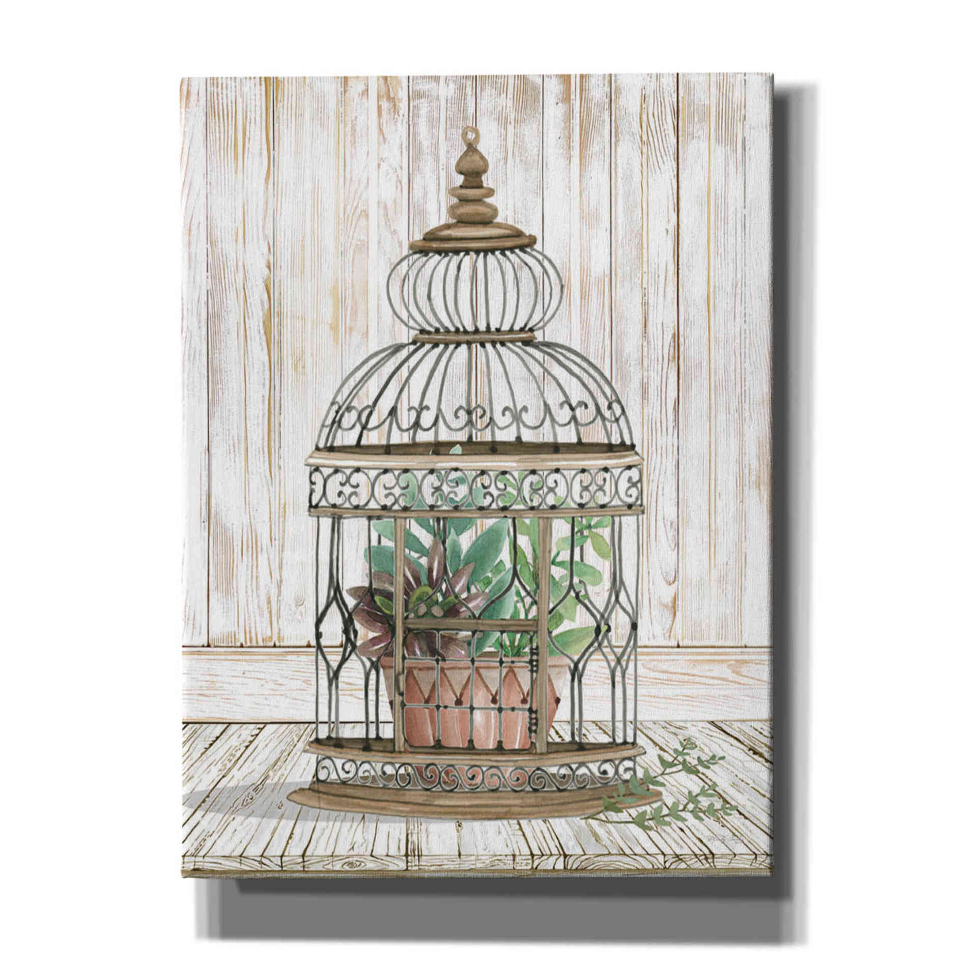 'Caged Beauty I' by Cindy Jacobs, Canvas Wall Art