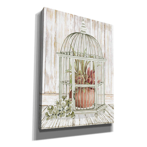 Image of 'Caged Beauty II' by Cindy Jacobs, Canvas Wall Art