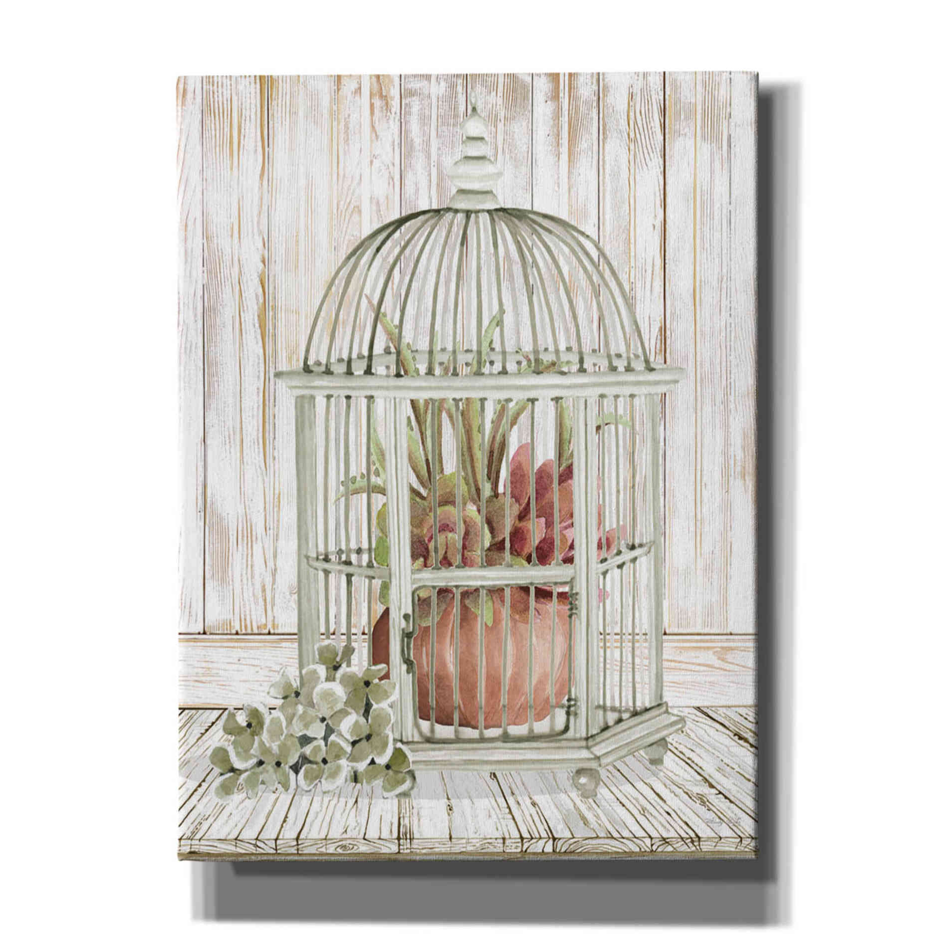 'Caged Beauty II' by Cindy Jacobs, Canvas Wall Art