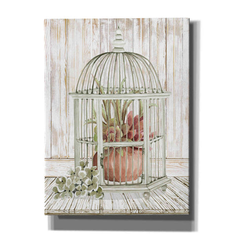 Image of 'Caged Beauty II' by Cindy Jacobs, Canvas Wall Art