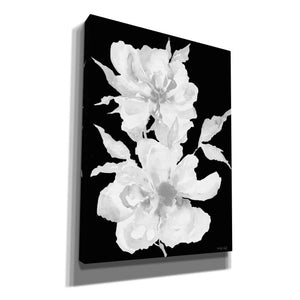 'Black & White Flowers I' by Cindy Jacobs, Canvas Wall Art