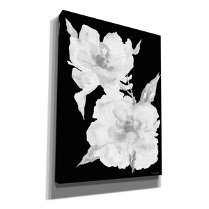 'Black & White Flowers II' by Cindy Jacobs, Canvas Wall Art