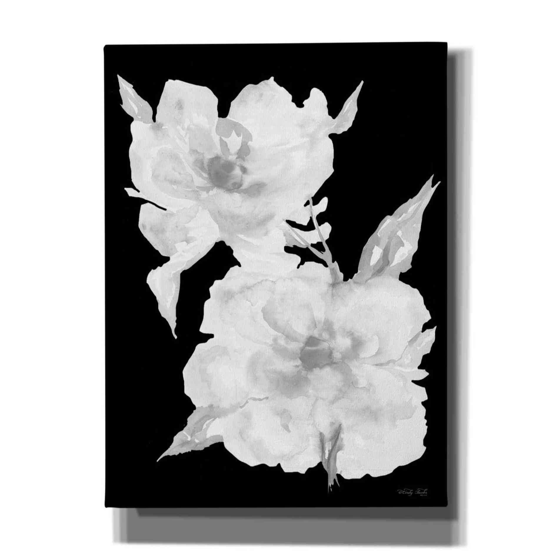 'Black & White Flowers II' by Cindy Jacobs, Canvas Wall Art