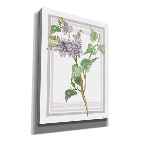 Image of 'Lilacs V' by Cindy Jacobs, Canvas Wall Art
