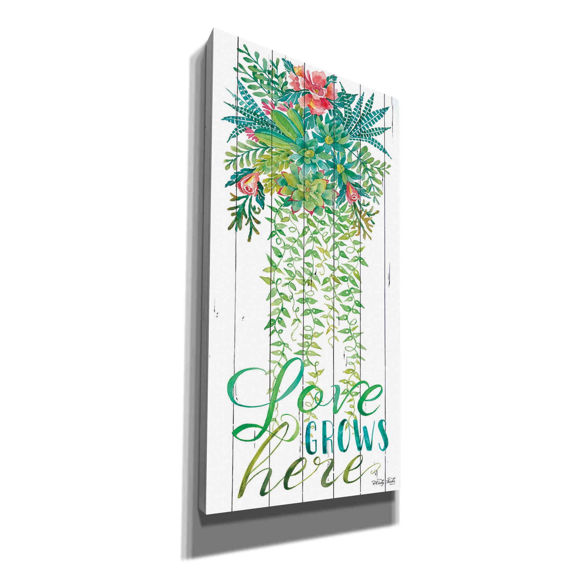 'Love Grows Hanging Plant' by Cindy Jacobs, Canvas Wall Art