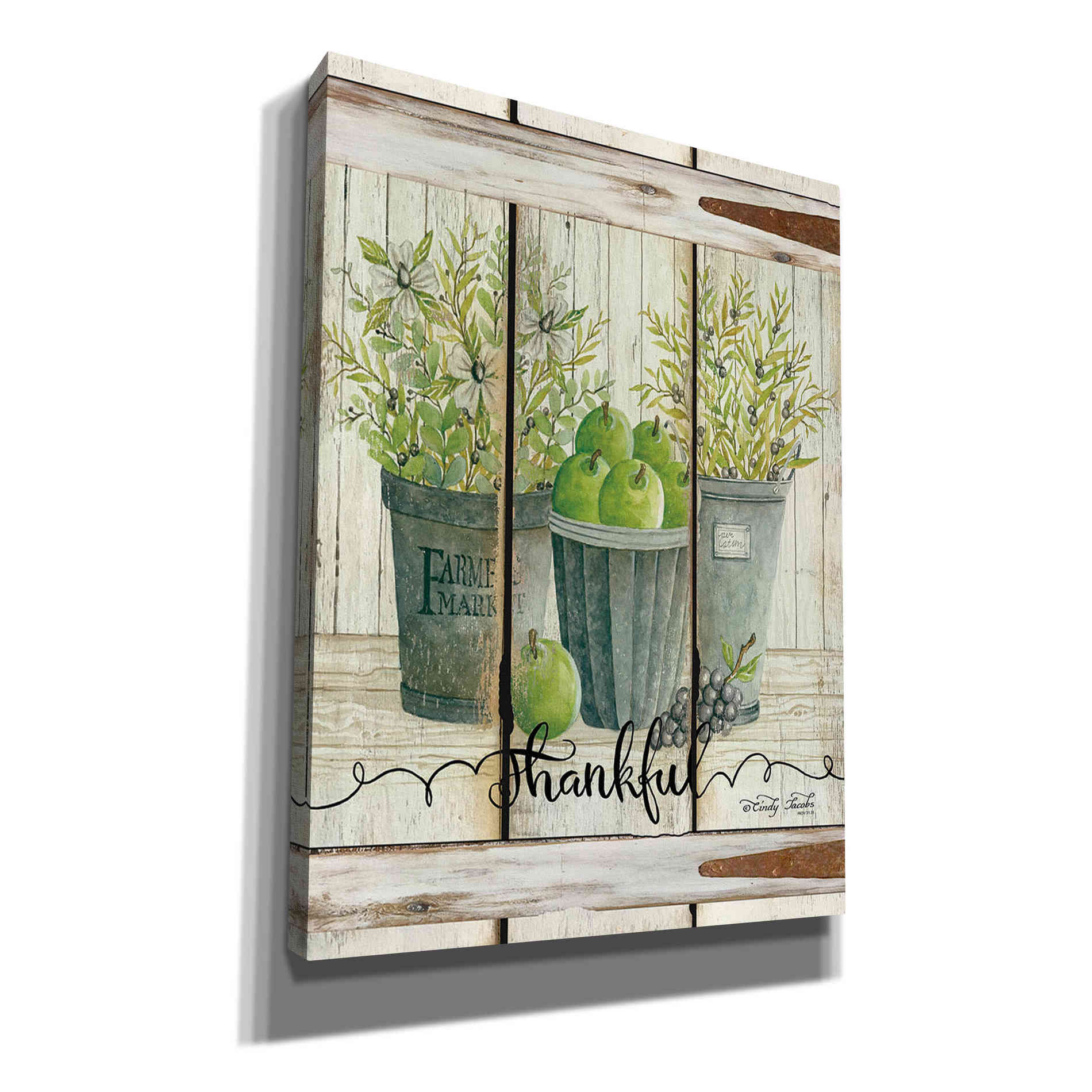 'Eucalyptus - Thankful' by Cindy Jacobs, Canvas Wall Art