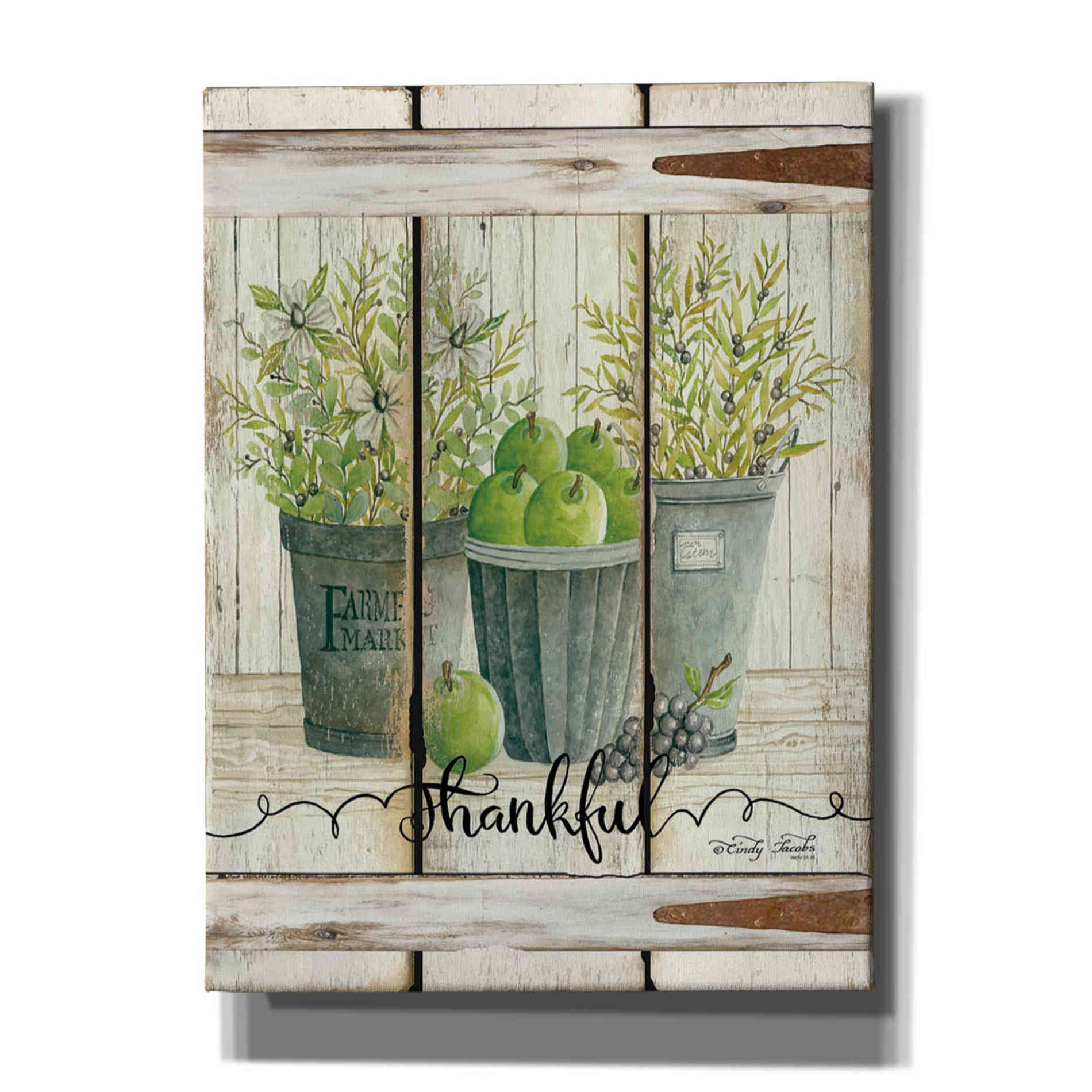 'Eucalyptus - Thankful' by Cindy Jacobs, Canvas Wall Art