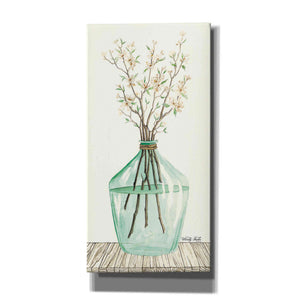 'Spring Blooms' by Cindy Jacobs, Canvas Wall Art