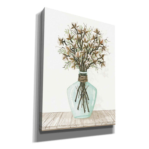 Image of 'Cotton Bouquet' by Cindy Jacobs, Canvas Wall Art