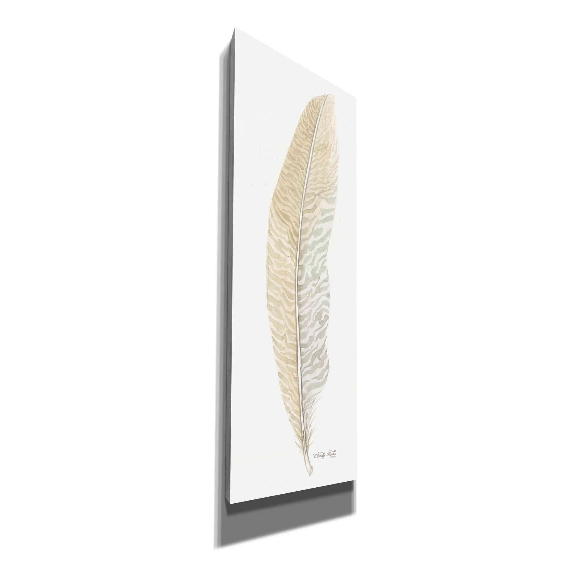'Tonal Feather I' by Cindy Jacobs, Canvas Wall Art
