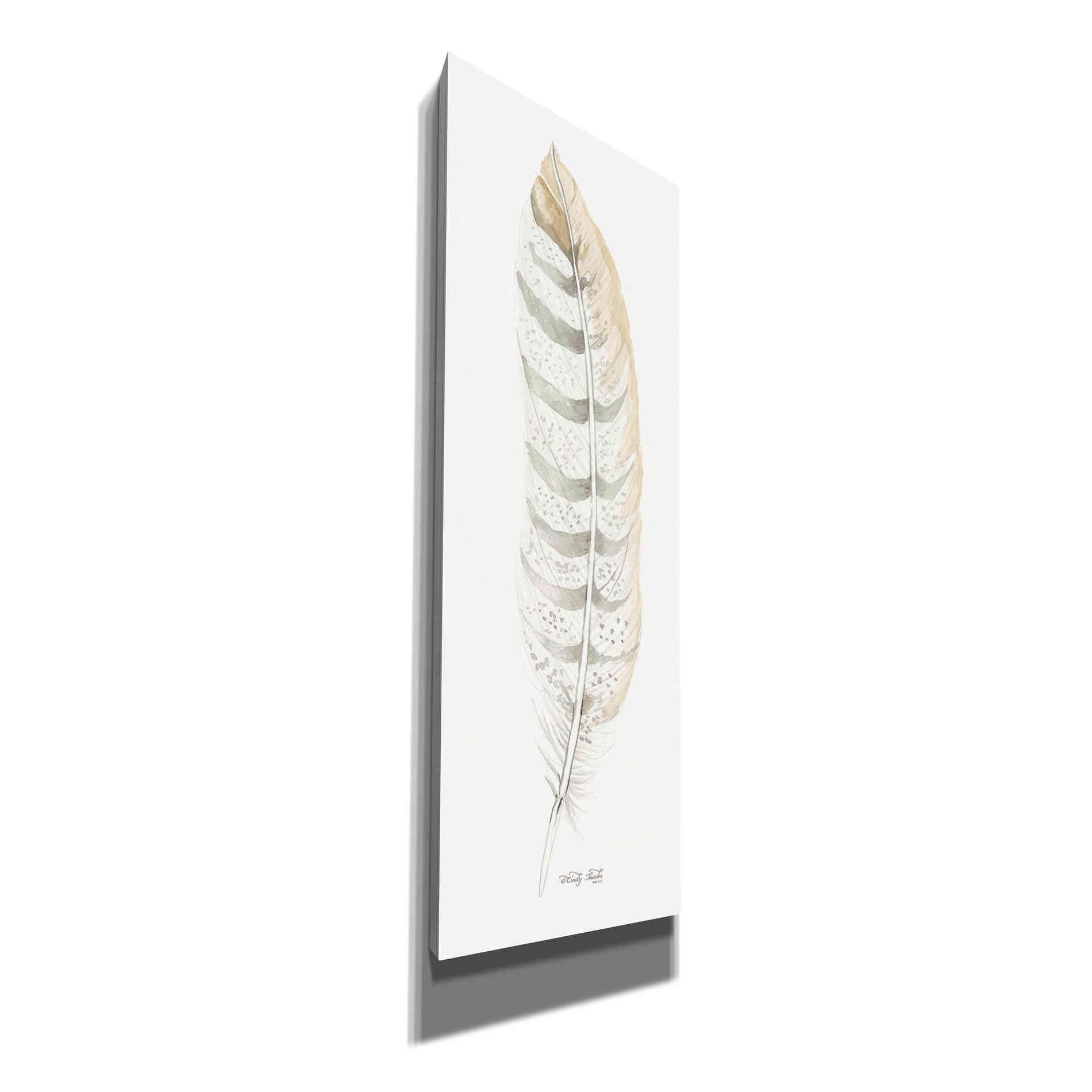 'Tonal Feather II' by Cindy Jacobs, Canvas Wall Art