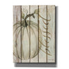 'Blessed Pumpkin on Shiplap' by Cindy Jacobs, Canvas Wall Art