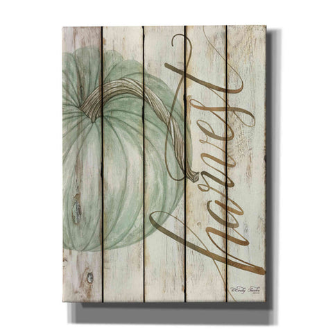 Image of 'Harvest Pumpkin on Shiplap' by Cindy Jacobs, Canvas Wall Art