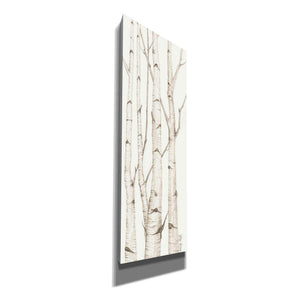 'Birch Trees I' by Cindy Jacobs, Canvas Wall Art